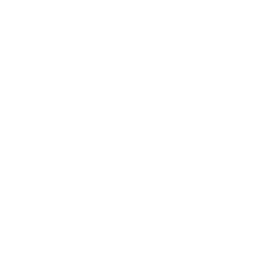 Methods-Of-Funds-Entry-Maestro